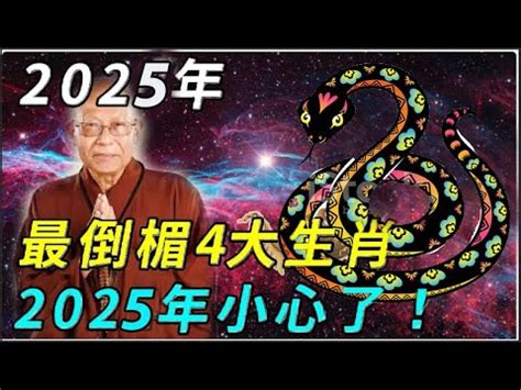 2025是什麼年天干地支|2025是民國幾年？2025是什麼生肖？2025幾歲？